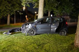 Auto tegen boom en lantaarnpaal gereden in Hoorn