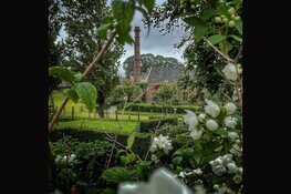 Smartphone fotografie in Uitgeest, Alkmaar, Zuiderzeemuseum en Broekerveiling