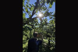 Smartphone fotografie in Uitgeest, Alkmaar, Zuiderzeemuseum en Broekerveiling