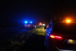 Dubbele aanrijding in Hem: ontsnapt kalfje overleden en politieauto beschadigd