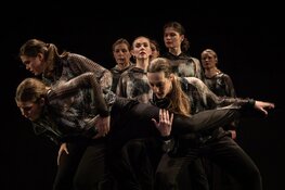 Theater het Pakhuis podium voor de Dansonderneming Danst