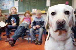 Hond voor de klas op basisschool het Spectrum in Hoorn