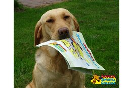 Hond voor de klas op basisschool het Spectrum in Hoorn