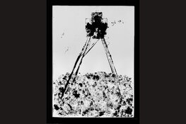 Expositie Mirjam Peters in St. Paul's: ‘Al mijn schilderijen hebben kracht’