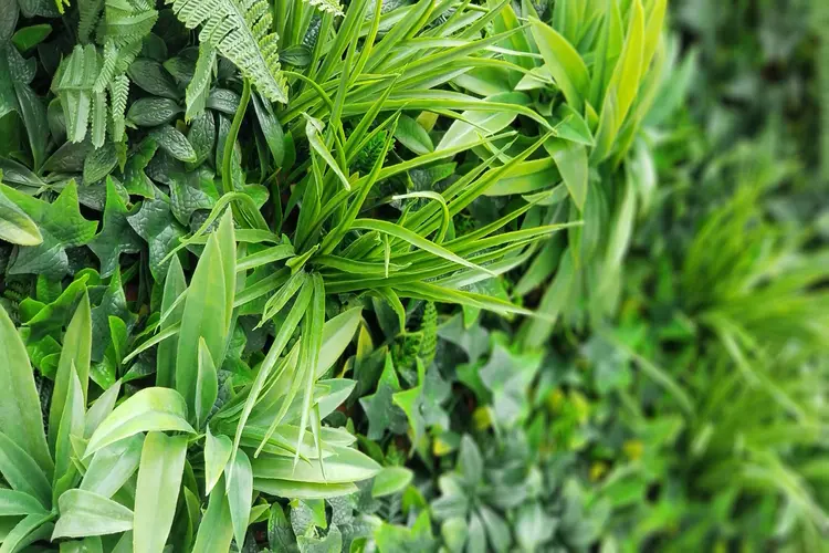 Dit lokale bedrijf helpt de regio vergroenen