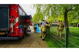 Brandweer in actie op kinderboerderij om vastzittend stiertje te redden