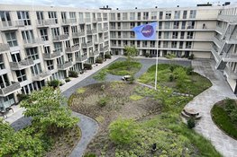 Groene tuinen verminderen hittestress en wateroverlast