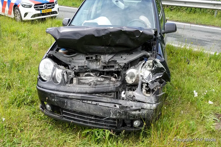 Groep ganzen veroorzaakt botsing op N307 Zwaag