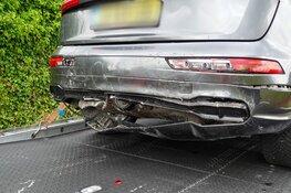 Groep ganzen veroorzaakt botsing op N307 Zwaag