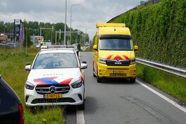 Groep ganzen veroorzaakt botsing op N307 Zwaag