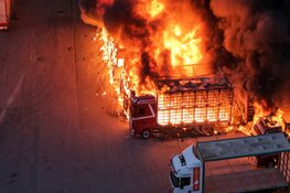 Meerdere vrachtwagens in brand bij kippenslachterij