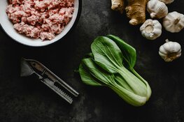 Horeca in beweging: dit zijn de tools die je workflow versnellen