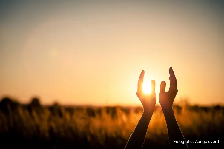 Het eerste conscious festival in West-Friesland: Feel Good Festival