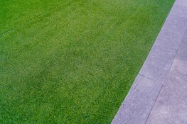 Wat is goed kunstgras? 3 signalen dat je een miskoop voorkomt