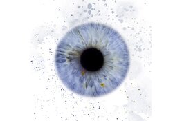 Kust in de etalage van zaterdag 30 augustus t/m zondag 14 september 2025