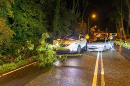 Drie auto's betrokken bij ongeval na vallende tak
