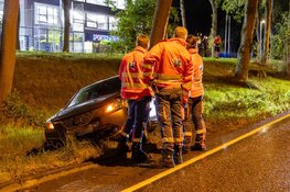 Drie auto's betrokken bij ongeval na vallende tak