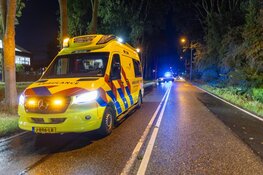 Drie auto's betrokken bij ongeval na vallende tak