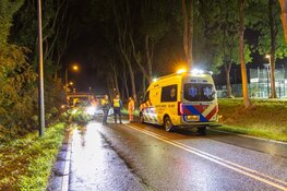 Drie auto's betrokken bij ongeval na vallende tak