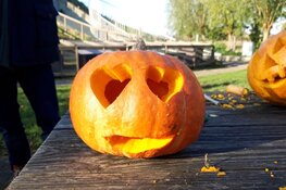 Pompoen snijden bij MAK Blokweer