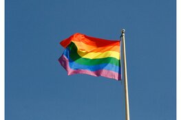 Regenboogvlag en verlichte politiebureaus vandaag op Coming Out Day