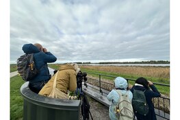 Veel vogels vliegen over Twisk en Onderdijk