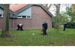 Aanhouding na grote zoekactie en beroving in Hoorn