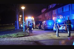 Twee gewonden en twee aanhoudingen na twee schietincidenten in Hoorn