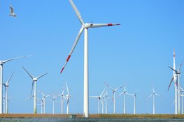 Brinkmann & Niemeijer; jouw partner in betrouwbare stroomvoorziening