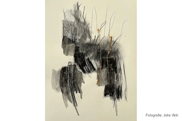 Expositie jaarlijkse ledententoonstelling 'kunst aan de lijn' op 20 december t/m 18 januari