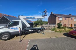 Helpt u de huismus, gierzwaluw of vleermuis aan een plek in uw buurt? Westfriese gemeenten zoeken adressen voor nestkasten