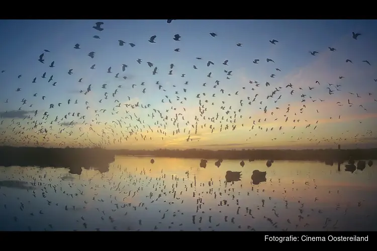 Documentairemaker Pim Giel te gast bij eerste editie Docusalon in Cinema Oostereiland