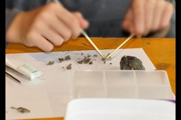 'Voorjaarsvakantie vol natuurplezier bij MAK Blokweer'