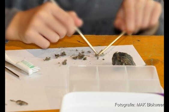 'Voorjaarsvakantie vol natuurplezier bij MAK Blokweer'