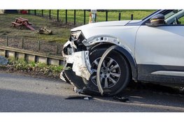 Auto's botsen bijna frontaal op elkaar in bocht Berkhout. Honden ongedeerd