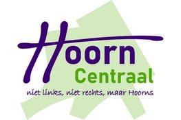 Hoorn Centraal voorheen Fractie Tonnaer stelt vervolgvragen over containerlocaties binnenstad