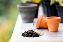 Steeds meer aandacht voor natuurlijke voeding in particuliere en professionele tuinen