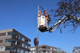 Hoornse straatverlichting 100% led
