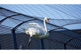 De brandweer en dierenambulance zijn vanmorgen opgeroepen voor een dier in nood aan de Strip in Zwaag