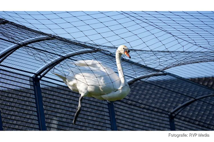 De brandweer en dierenambulance zijn vanmorgen opgeroepen voor een dier in nood aan de Strip in Zwaag