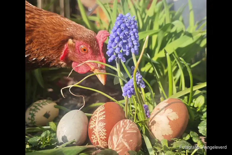 Lente vol natuurbeleving bij MAK Blokweer: Biomarkt en Paasactiviteiten