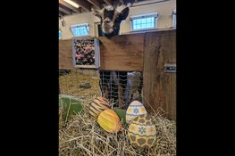 Lente vol natuurbeleving bij MAK Blokweer: Biomarkt en Paasactiviteiten