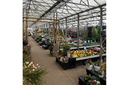 Het tuinseizoen komt tot leven bij Tuincentrum Schoutenbos