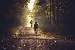 1,2 miljoen euro voor nieuwe bossen