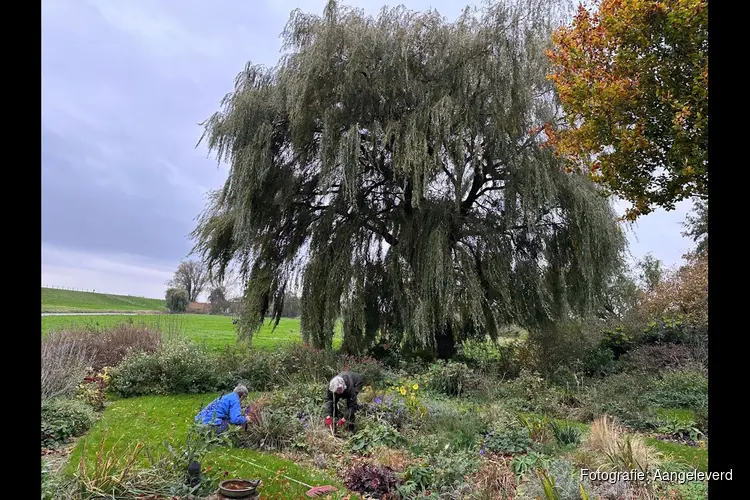 Lente in de lucht: word tuinvrijwilliger en maak het verschil buiten