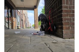 Hondje uren lang vergeten buiten bij supermarkt in Hoorn