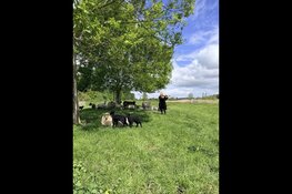 Midzomeravondconcert bij MAK Blokweer op zaterdag 20 juni