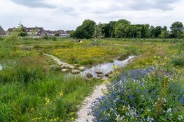 HHNK helpt mee aan klimaatbestendige bebouwde omgeving