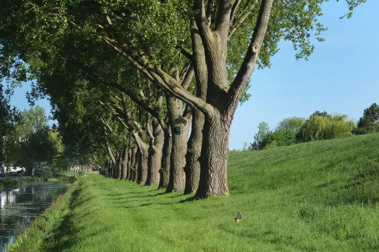 Weekendje wandelen: mooie gebieden binnen een uur rijden