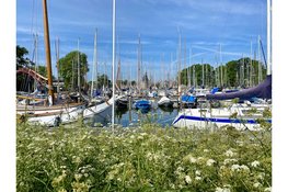 Wat kost een avondje uit in Hoorn?